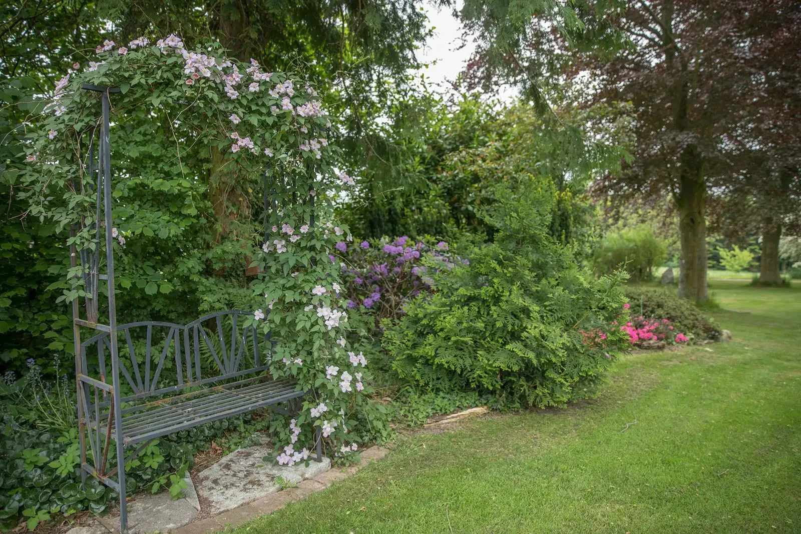 Jernbænk under en rosenbue