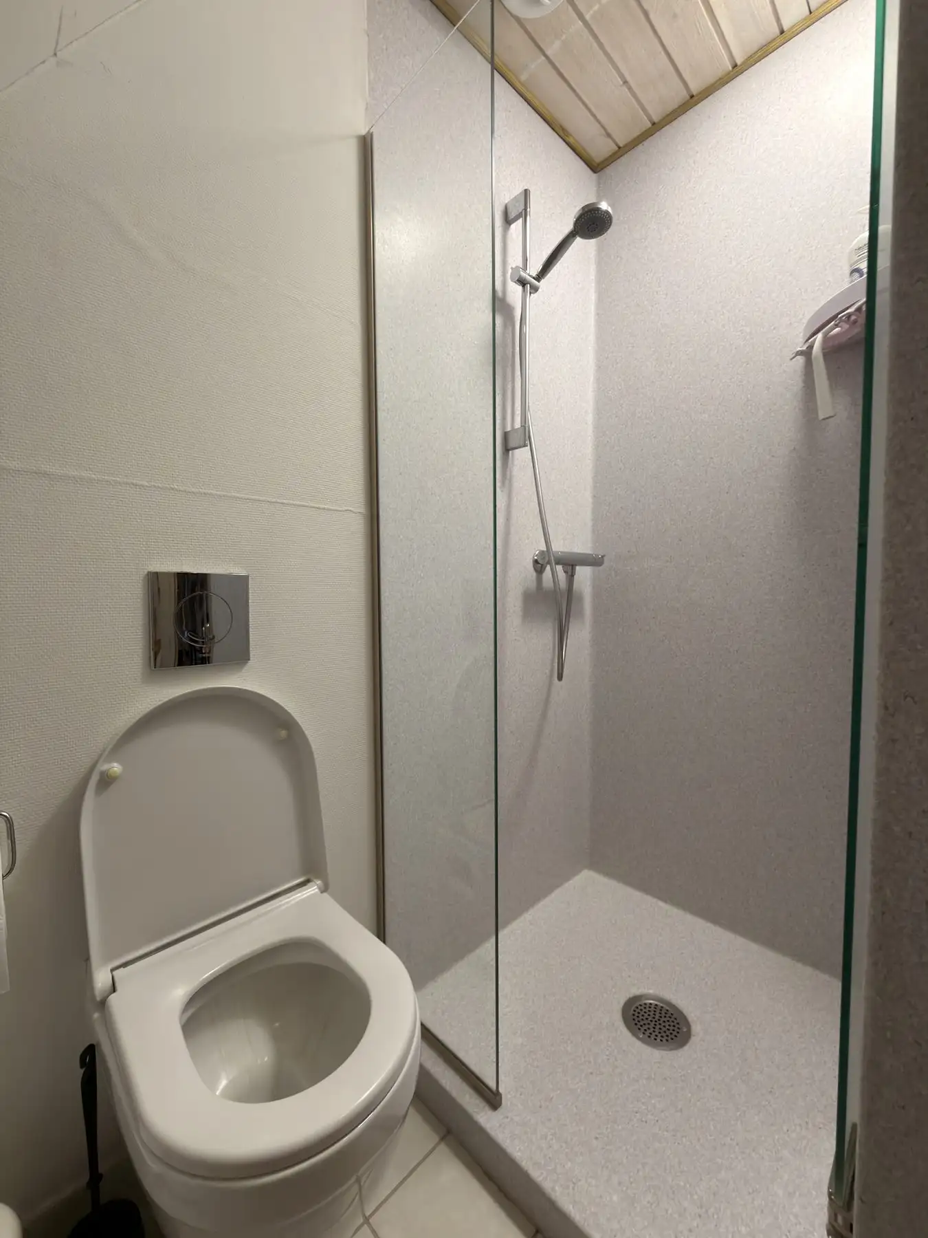 Lejlighedens badeværelse med bruseniche og toilet