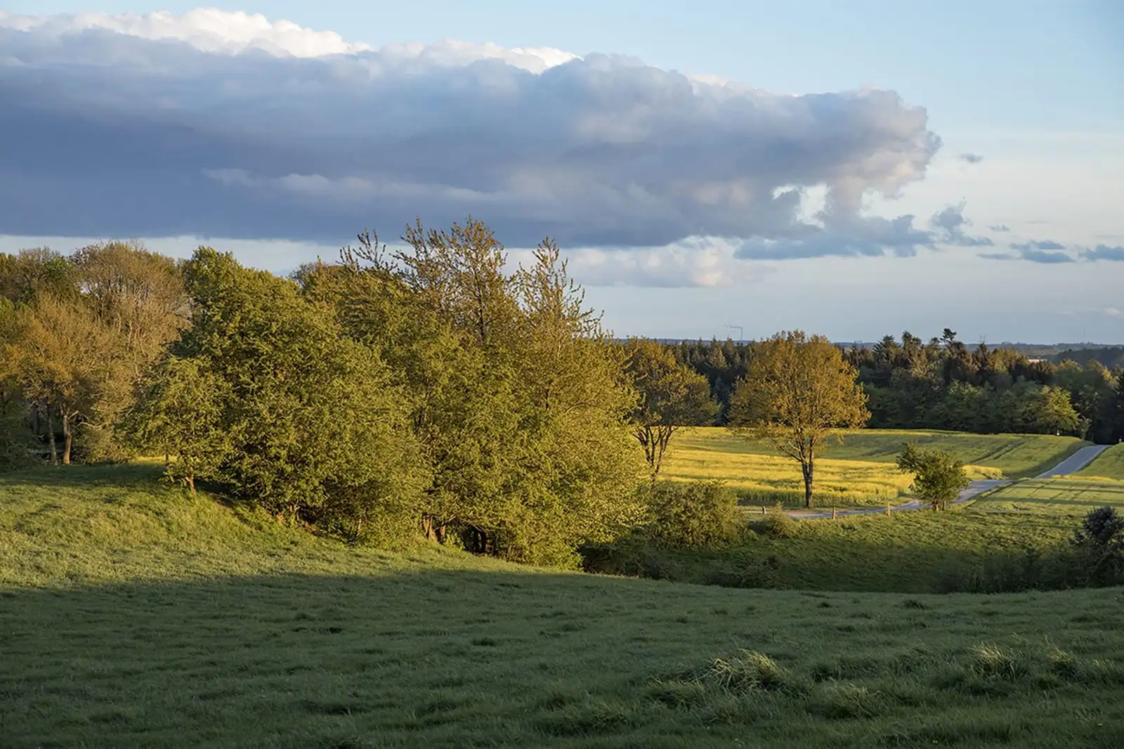 Udsigten fra haven over marker og skov